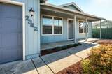 2342 New Haven Drive - Photo 3