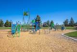 3591 Pumice Stone Avenue - Photo 48