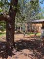 765 Lone Mountain Road - Photo 5
