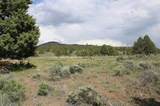  Deer Springs Road - Photo 12