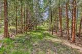 545 Conifer Way - Photo 39