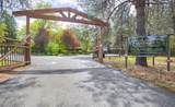 459 Galice Road - Photo 1