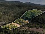 24100 Evans Creek Road - Photo 122