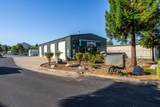 895 Gladiola Drive - Photo 4