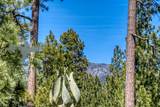 13582 Hollyhock - Photo 51