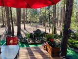 51916 Black Pine Way - Photo 17