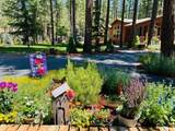 51916 Black Pine Way - Photo 24
