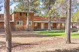 15970 Camino De Oro - Photo 12