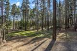 16738 Casper Drive - Photo 25