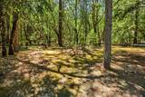 515 Cambridge Drive - Photo 58