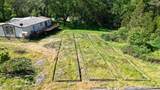 1305 Humbug Creek Road - Photo 6