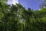 1800 Neil Creek Road - Photo 60
