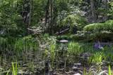1800 Neil Creek Road - Photo 9