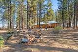 0000 Off Black Pine Road - Photo 1