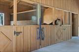 69255 Crooked Horseshoe Road - Photo 66