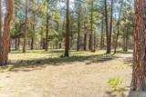 69255 Crooked Horseshoe Road - Photo 78