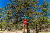 69255 Crooked Horseshoe Road - Photo 81