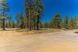 69255 Crooked Horseshoe Road - Photo 83