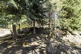 20405 White Pass Court - Photo 37