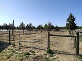 13975 Golden Mantel Road - Photo 21