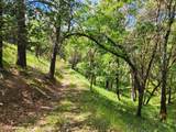4550 Griffin Creek Road - Photo 36