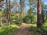 4550 Griffin Creek Road - Photo 39