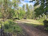 4550 Griffin Creek Road - Photo 40