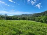 4550 Griffin Creek Road - Photo 41