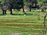 00000 Williamson River Road - Photo 1