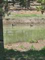 00000 Williamson River Road - Photo 2