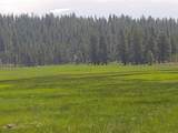 00000 Williamson River Road - Photo 3
