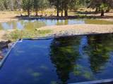 00000 Williamson River Road - Photo 5