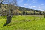 2800 Cedar Flat Road - Photo 33