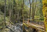 2800 Cedar Flat Road - Photo 8