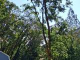 416 Warner Road - Photo 13
