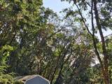 416 Warner Road - Photo 9