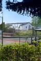 2421 Salvia Way - Photo 3