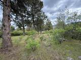  Turnstone Drive - Photo 19