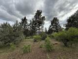  Turnstone Drive - Photo 21