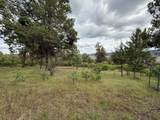  Turnstone Drive - Photo 23