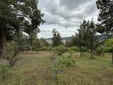  Turnstone Drive - Photo 24