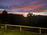 3954 Cattle Drive - Photo 82