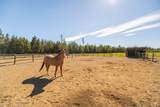55855 Hashknife Road - Photo 13