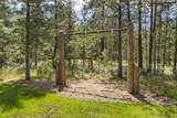 55855 Hashknife Road - Photo 20