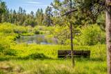 55855 Hashknife Road - Photo 21