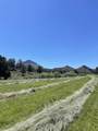33817 Gage Road - Photo 43