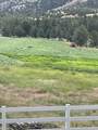 33817 Gage Road - Photo 44
