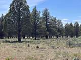 15534 Fishhole Creek Road - Photo 39