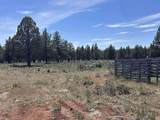 15534 Fishhole Creek Road - Photo 41