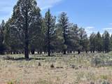 15534 Fishhole Creek Road - Photo 51